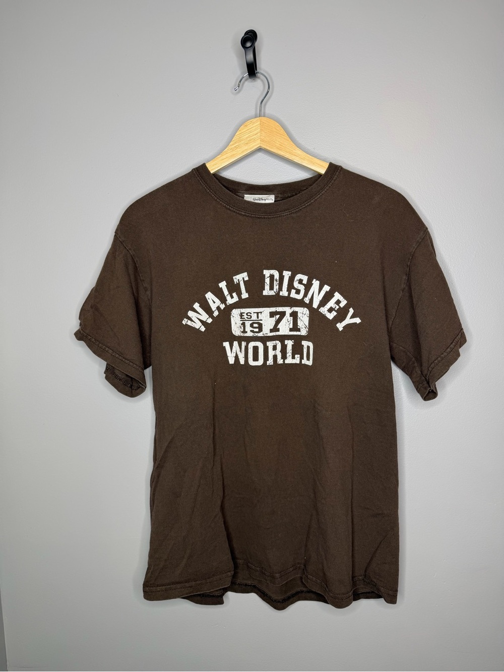 Walt Disney World Brown Graphic Tee